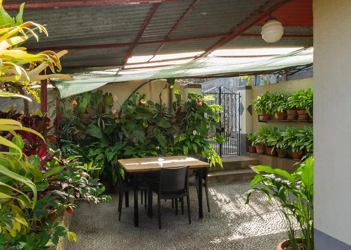 Casa Do Boto